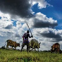 No proposal for National Agriculture Disaster Management Scheme: Govt