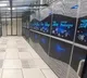 Param Pravega Indias Super Fast Super Computer