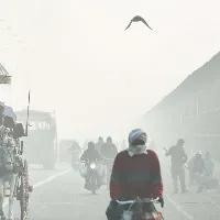 24 percent of Indians vulnerable to cold waves IMD