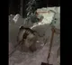 Seven soldiers went missing due to sudden Avalanche in Kameng sector