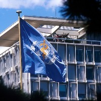 Covid numbers still 'absolutely staggering': WHO