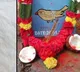 Villagers bid adieu to little chirp that brightened their days