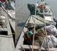 Pakistani Intrusion Into Gujarat coast