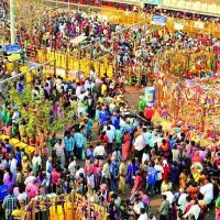 1.25 cr devotees expected at Asia's biggest tribal fair in Telangana