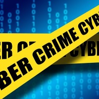 Parliamentary panel expresses concern over increasing cyber crimes