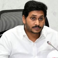 Cash less treatment for road accident victims