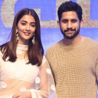 Naga Chaitanya and Pooja Hegde to join hands for next bilingual venture