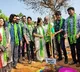Nagarjuna lays foundation for 1,080-acre urban forest