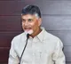 Chandrababu family gets consolation in a land dispute