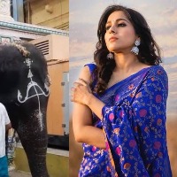 Actress Rashmi Gautam urges people to say no to animal rides, captivity
