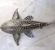 New fish found in Srikakulam district