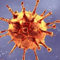 Telangana Corona Positive cases declines