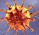 Telangana Corona Positive cases declines