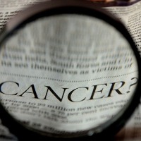 How do human bodies fight against cancer?