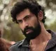 Bheemla Nayak movie update