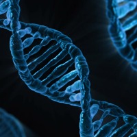 Single test for over 50 genetic diseases to make diagnosis quicker