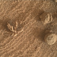 Curiosity rover images tiny 'mineral flower' on Mars