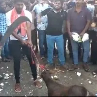 FIR registered against powerstar fans for alleged animal sacrifice