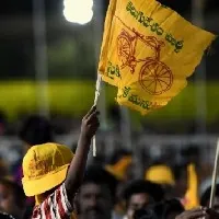 tdp will celebrates two key events this year