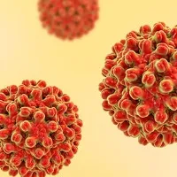 Treatment for Hepatitis will be available in all district hospitals in AP