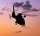 Army helicopter crashes near Gurez sector