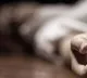 ten year old kid who was going to school for four days without knowing that his mother was dead
