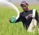 Fertilizers See New Jump Due To Russia Ukraine War