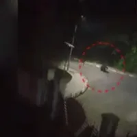 Bear enters into Sathavahana University Campus