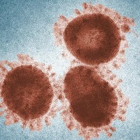 Cancer drugs might be able to target tuberculosis