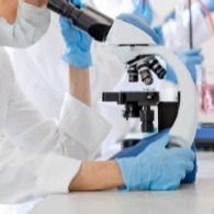 UK scientists to create ears, nose using human cells to tackle scarring