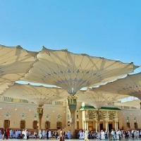 Saudi Arabia executes 81 people in a day for terror offences