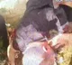 Man tosses 3year old son out of burning buildings window