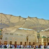 Saudi Arabia mass execution in a single day