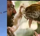 'Thokkukuntapovale': Fans of Jr NTR tether his dialogue from 'RRR' to aircraft in US