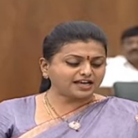 roja slams tdp
