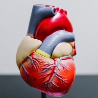 China approves fully bioabsorbable occluder for heart defects