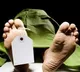 singer mohan commits suicid