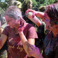 Dry colours more harmful than liquid ones: Experts