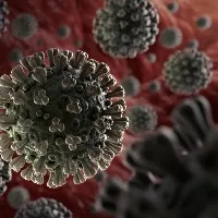India reports 2539 fresh Corona cases