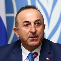 Russia, Ukraine make progress in ceasefire negotiations: Turkish FM