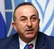 Russia, Ukraine make progress in ceasefire negotiations: Turkish FM