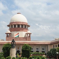 Want three farm laws but with reforms: SC panel