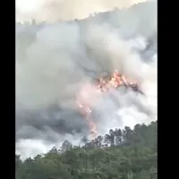 Passenger Plane crashed in Southwest China