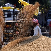 Telangana delegation for Delhi to demand paddy procurement