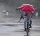 heavy ranis in andhrapradesh