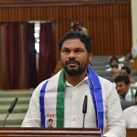 polavaram mla satires on tdp