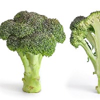 Broccoli, leafy greens can help slow growth of Covid, flu