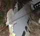 China plane crash One damaged black box found