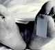 Wife commits suicide after argument with husband