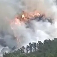 Terrorist Suicide Mission Behind China Flight Accident
